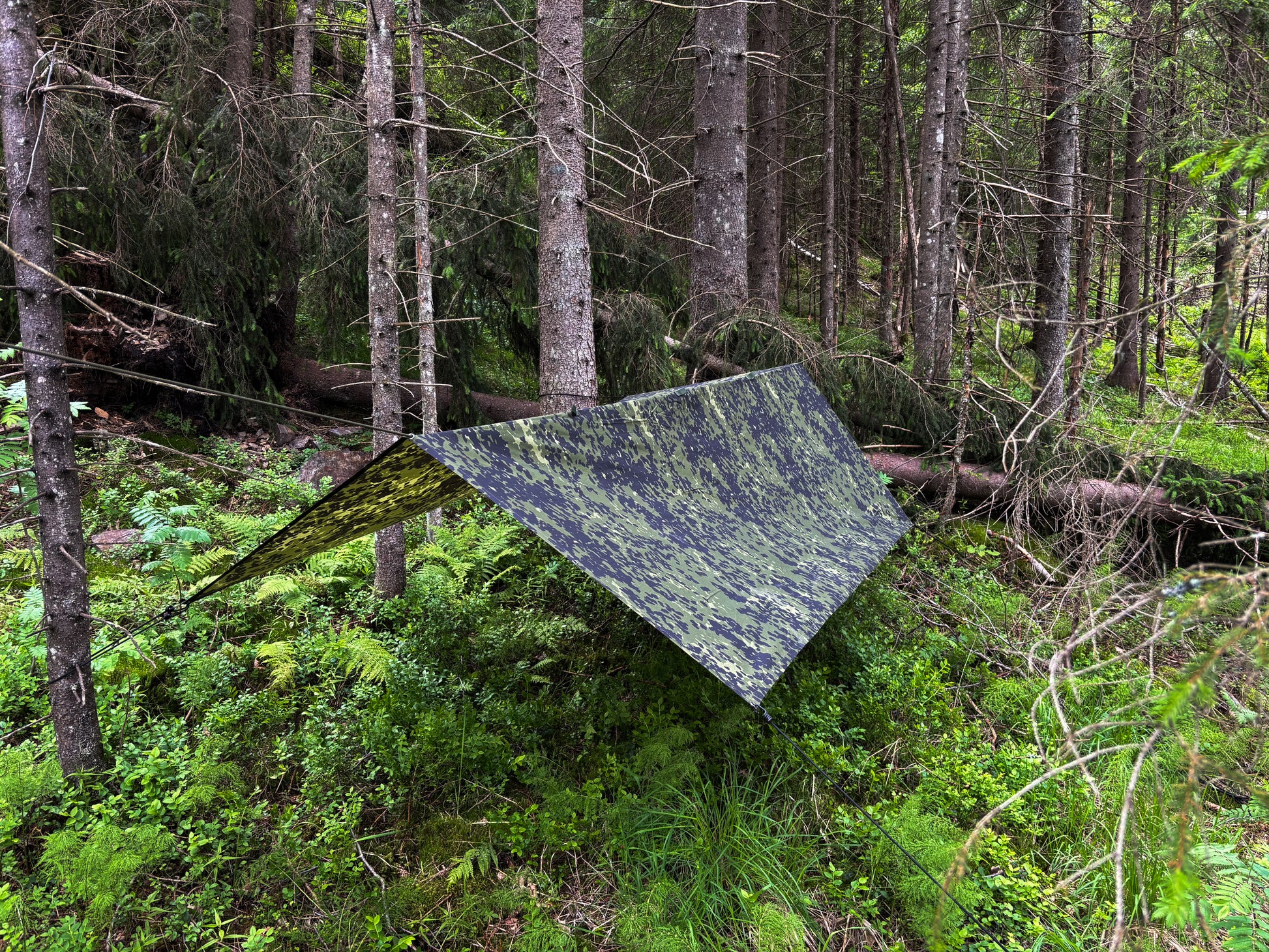 Tarp/Basha in M84 camo